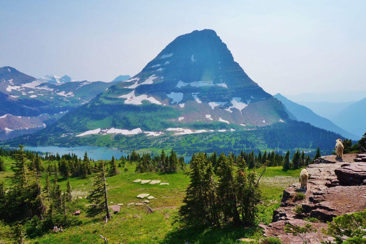 Scenic View of the Glacier National Park Montana