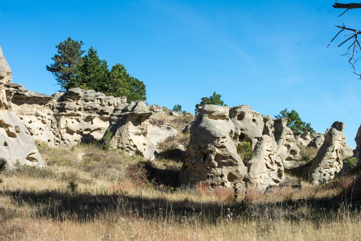 Rock formations amid a grassy area and trees in Montana.