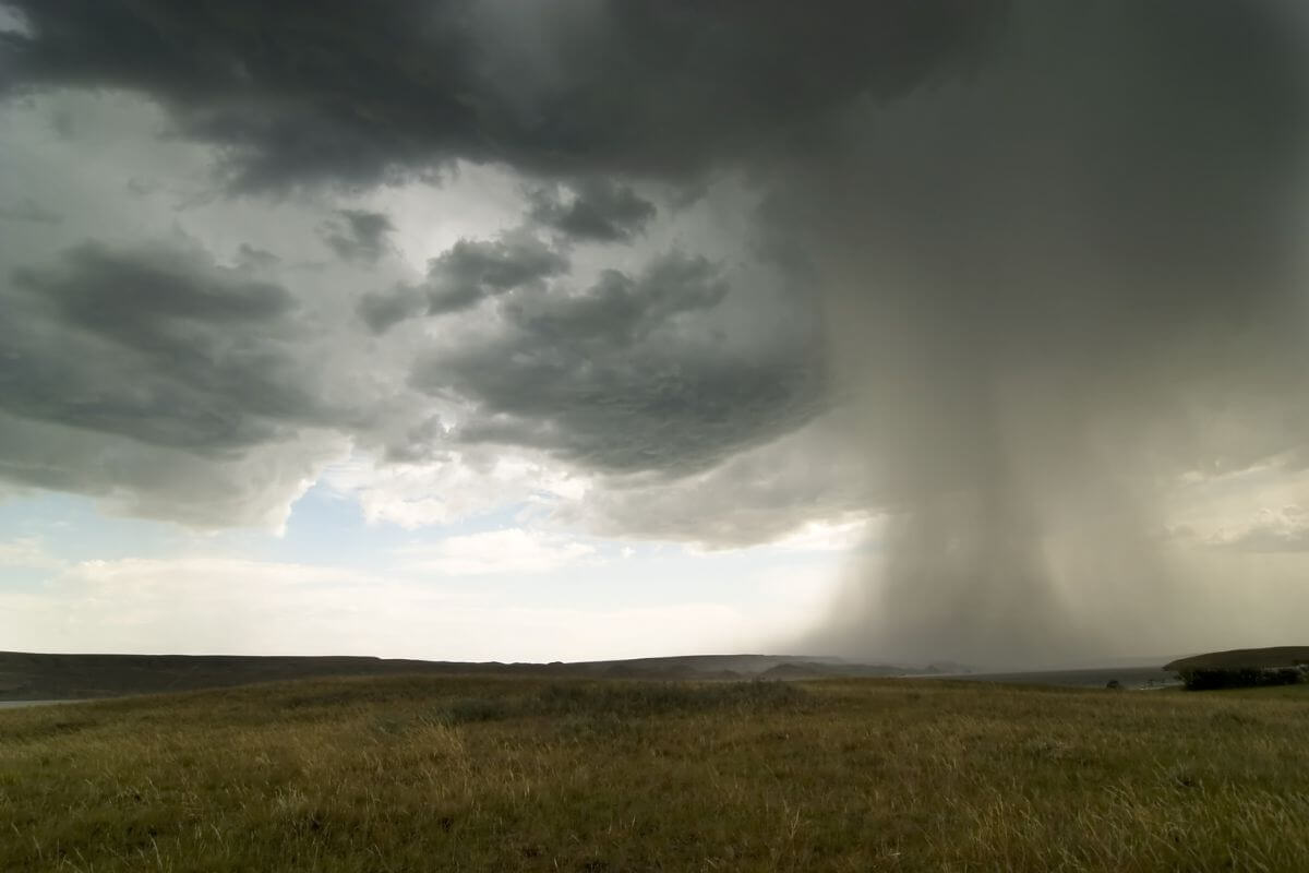 A tornado taking form on a grassy field in Montana.