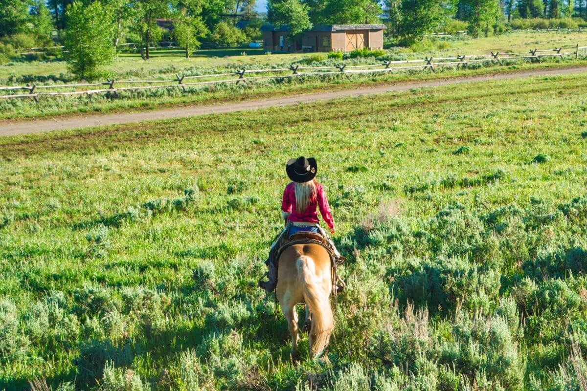 A woman riding a horse through a grassy field in a ranch in Montana.