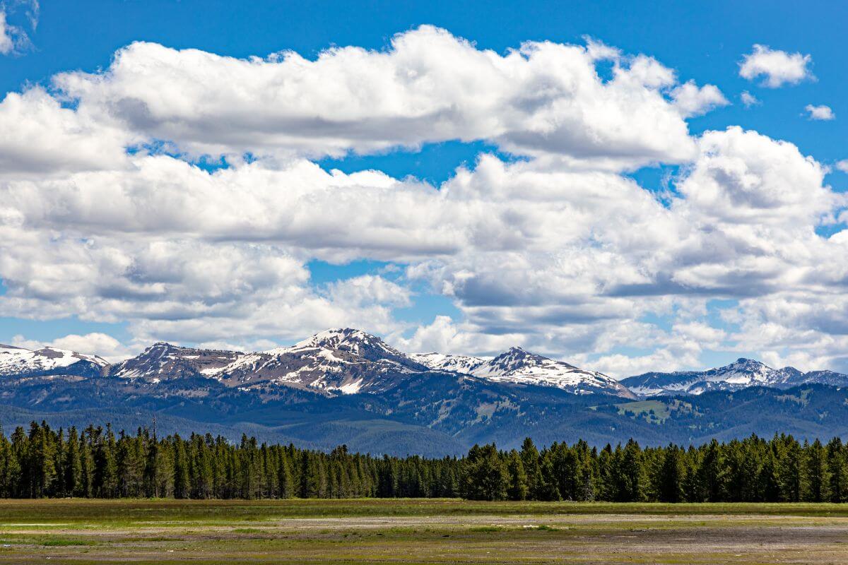 Yellowstone National Park in May