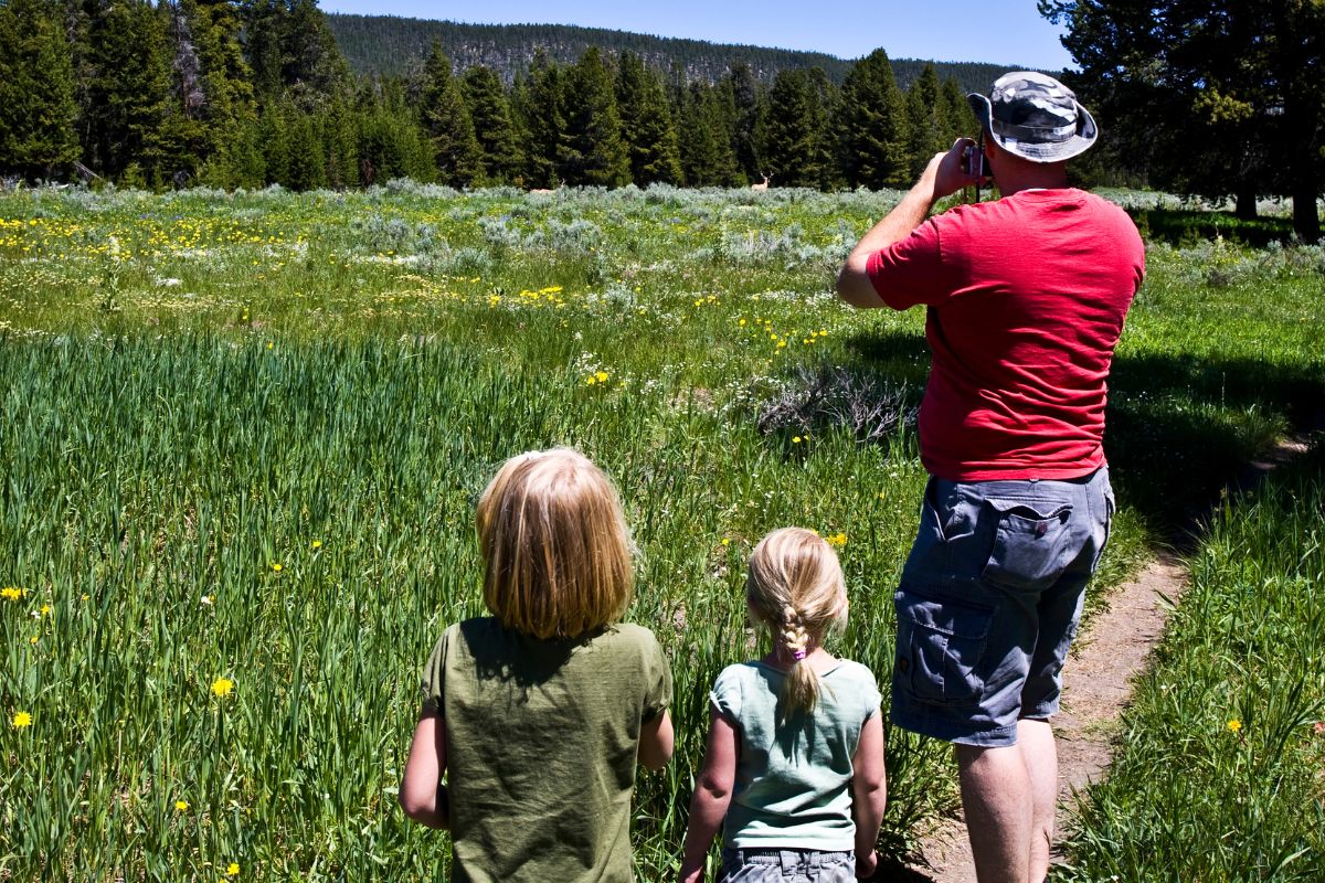 A man in a red shirt photographs a meadow while two children walk on a nearby trail, surrounded by greenery and wildflowers, close to Pintler Waterfall.