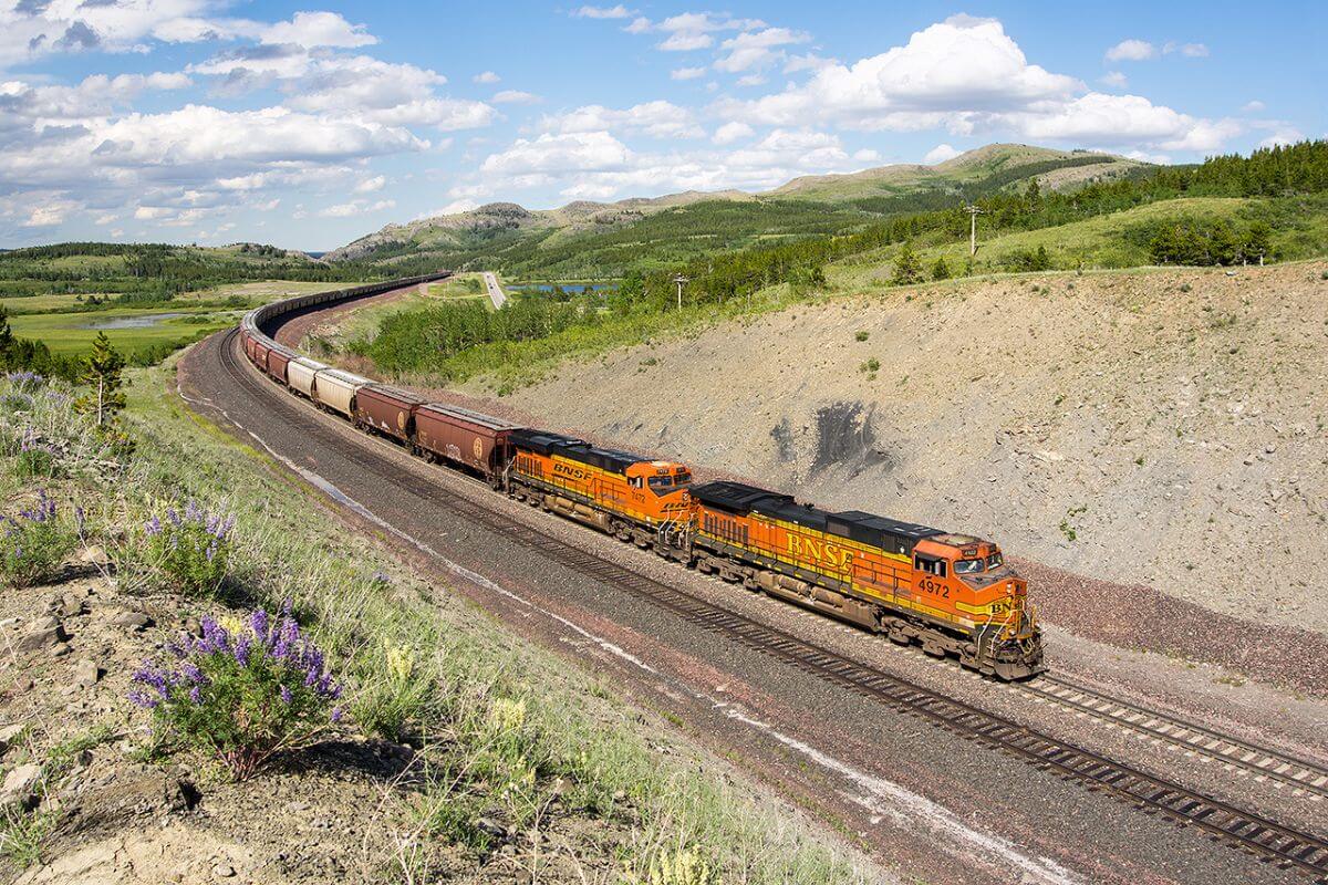 A train traveling down a track in a grassy area in Montana.