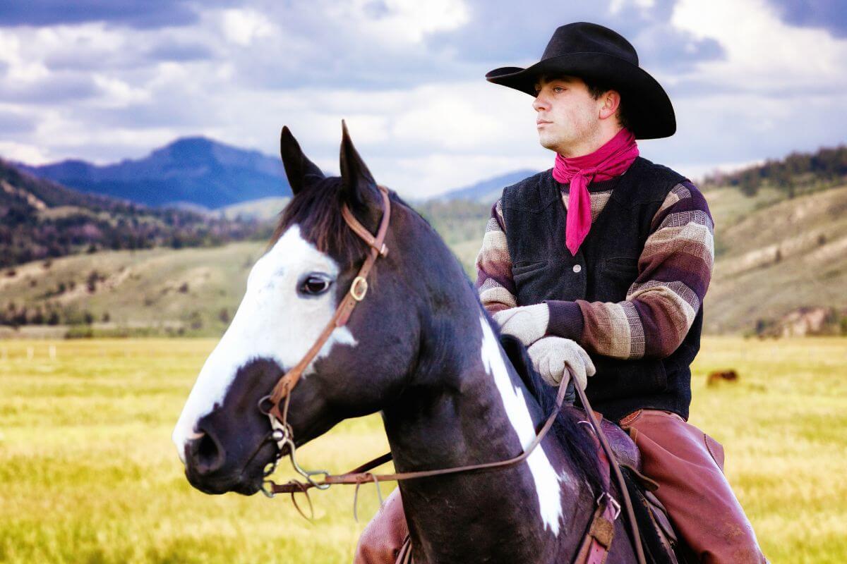 A Cowboy on Horseback in Montana