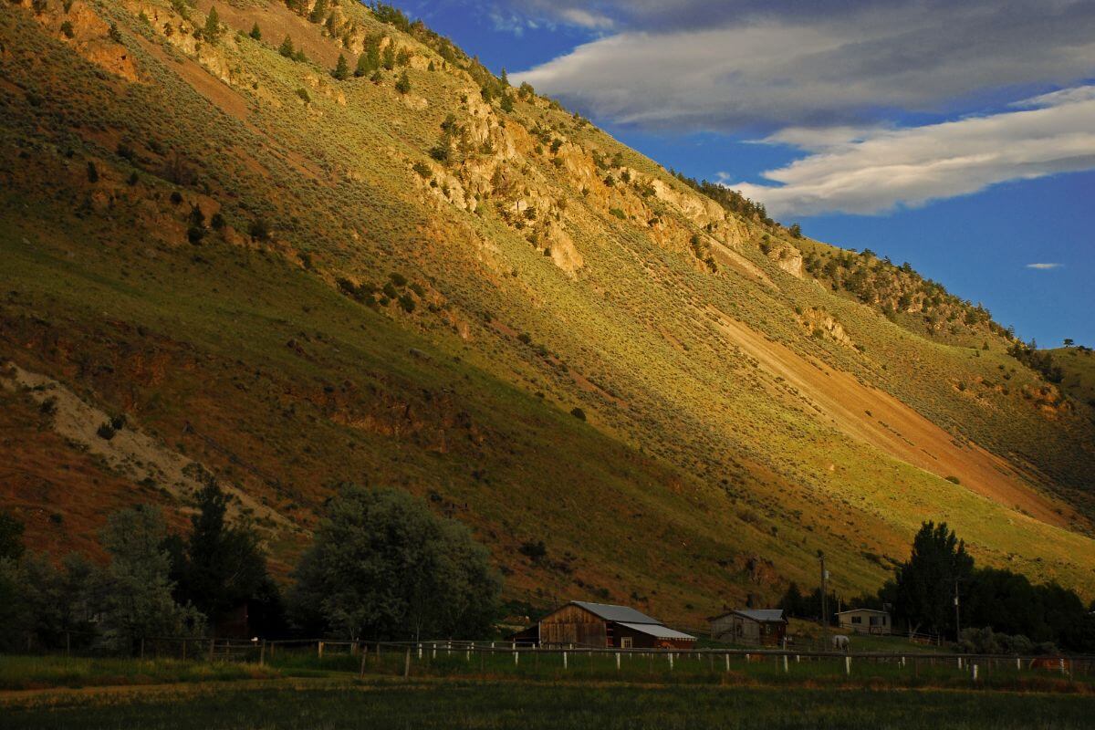 A golden sunset illuminates a hilly landscape in the Gardiner area, one of the best spots to see Montana elk.