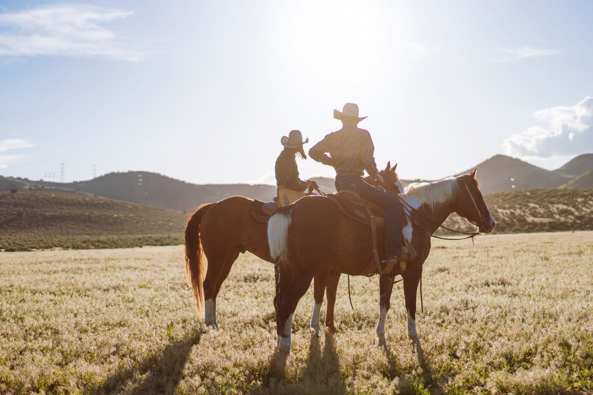 Two cowboys wearing hats talk on horseback in a sunny field with rolling hills near Pintler Waterfalls in Montana.