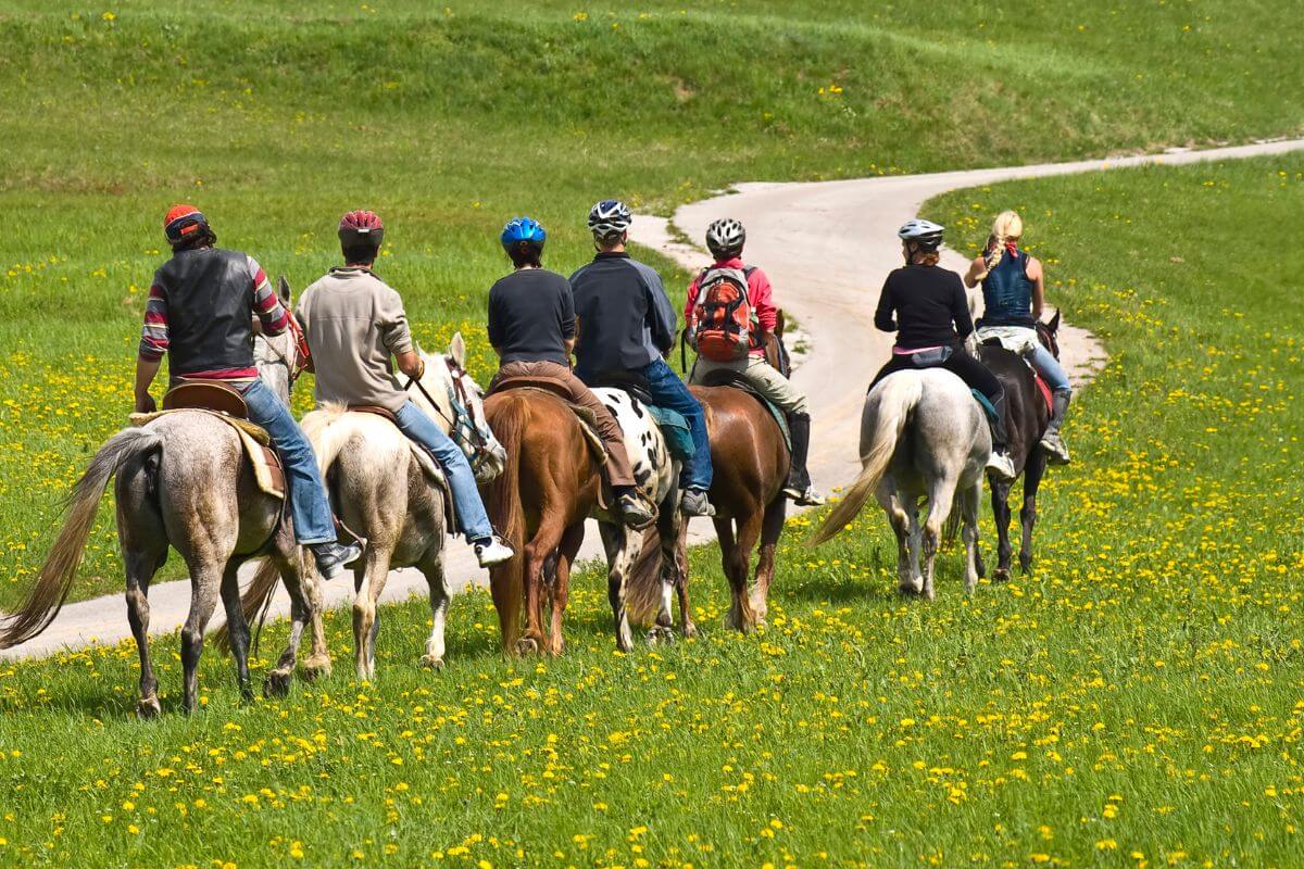 A group of people on horseback ride along a curved path through a lush green field dotted with yellow flowers in Montana