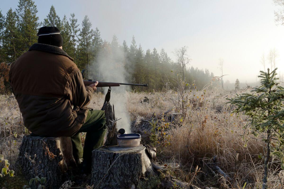 A person sits on a tree stump in a forest holding a rifle, getting ready to buy Montana bonus points.