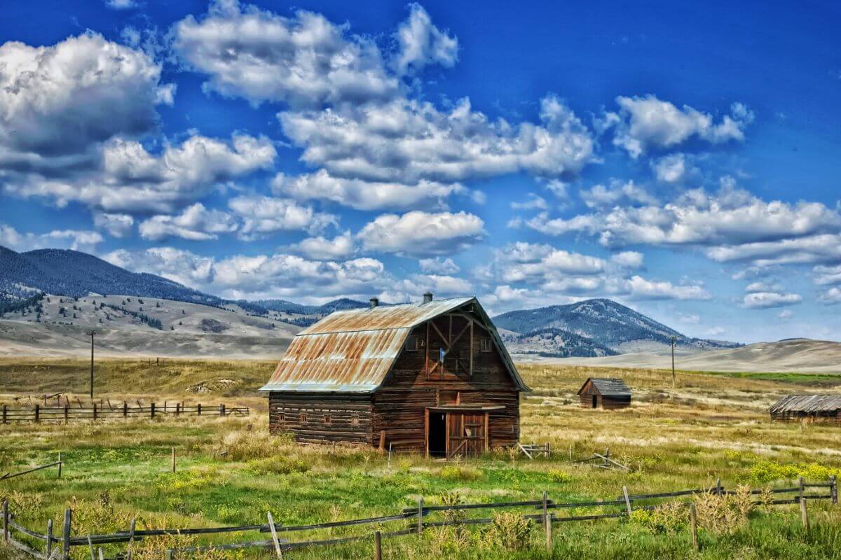 An old barn in the middle of a field in Montana.