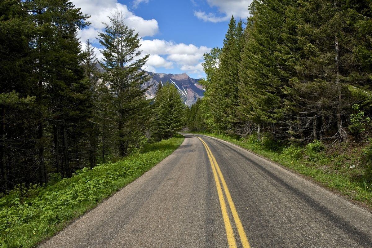 A scenic road winds its way through a dense forest in Montana