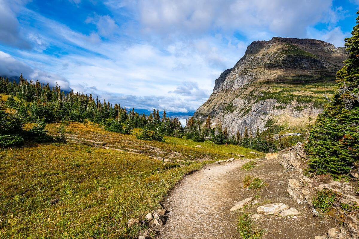 Trail in Glacier National Park