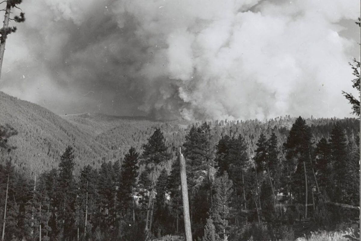 A black and white photo of a historical forest fire in Montana.