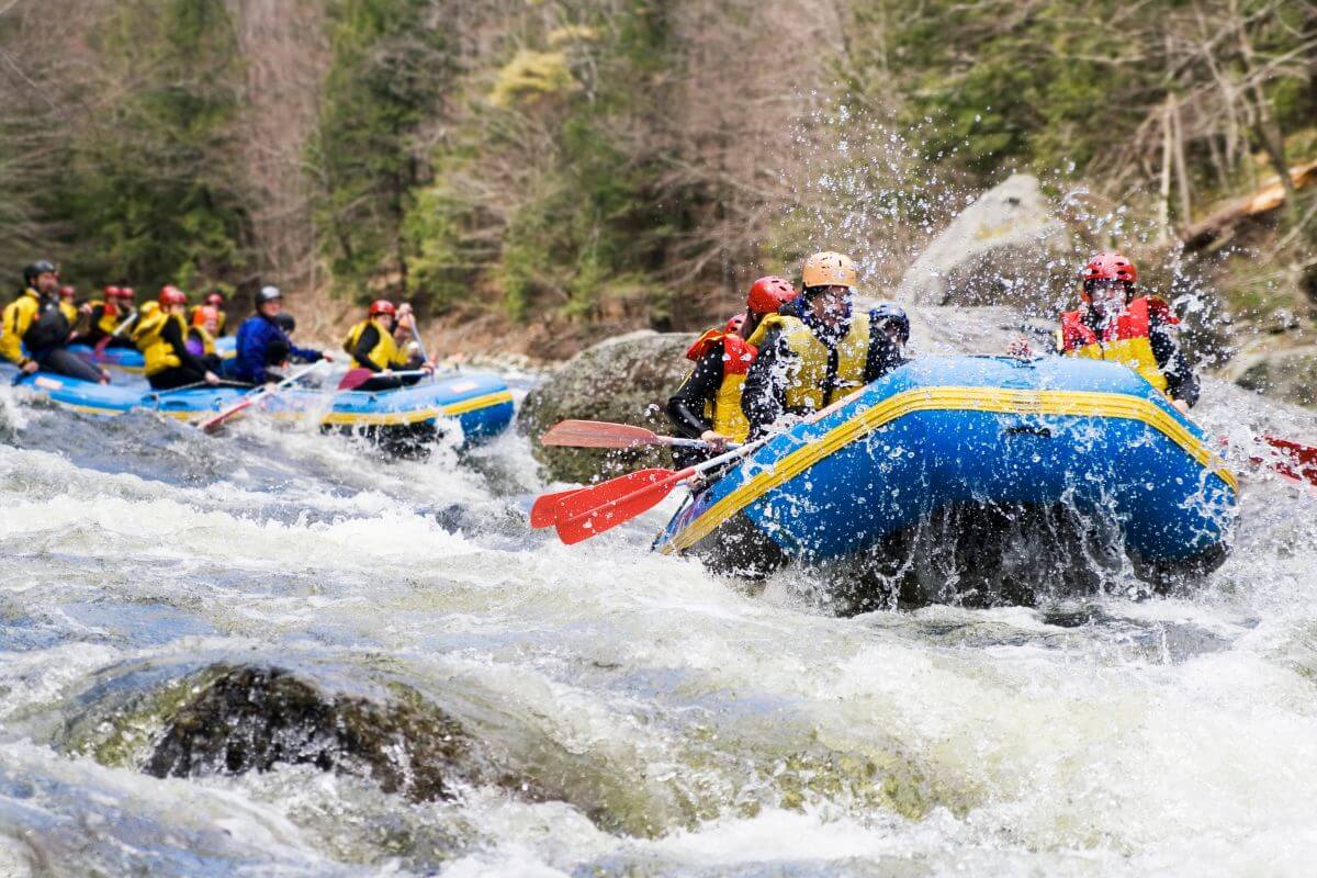 Groups of people enjoy whitewater rafting in the Yellowstone River near Knowles Falls with the assistance of the Yellowstone Raft Company.