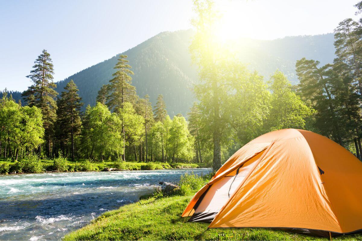 A vibrant orange tent is pitched beside a rushing river in a lush green forest in Montana