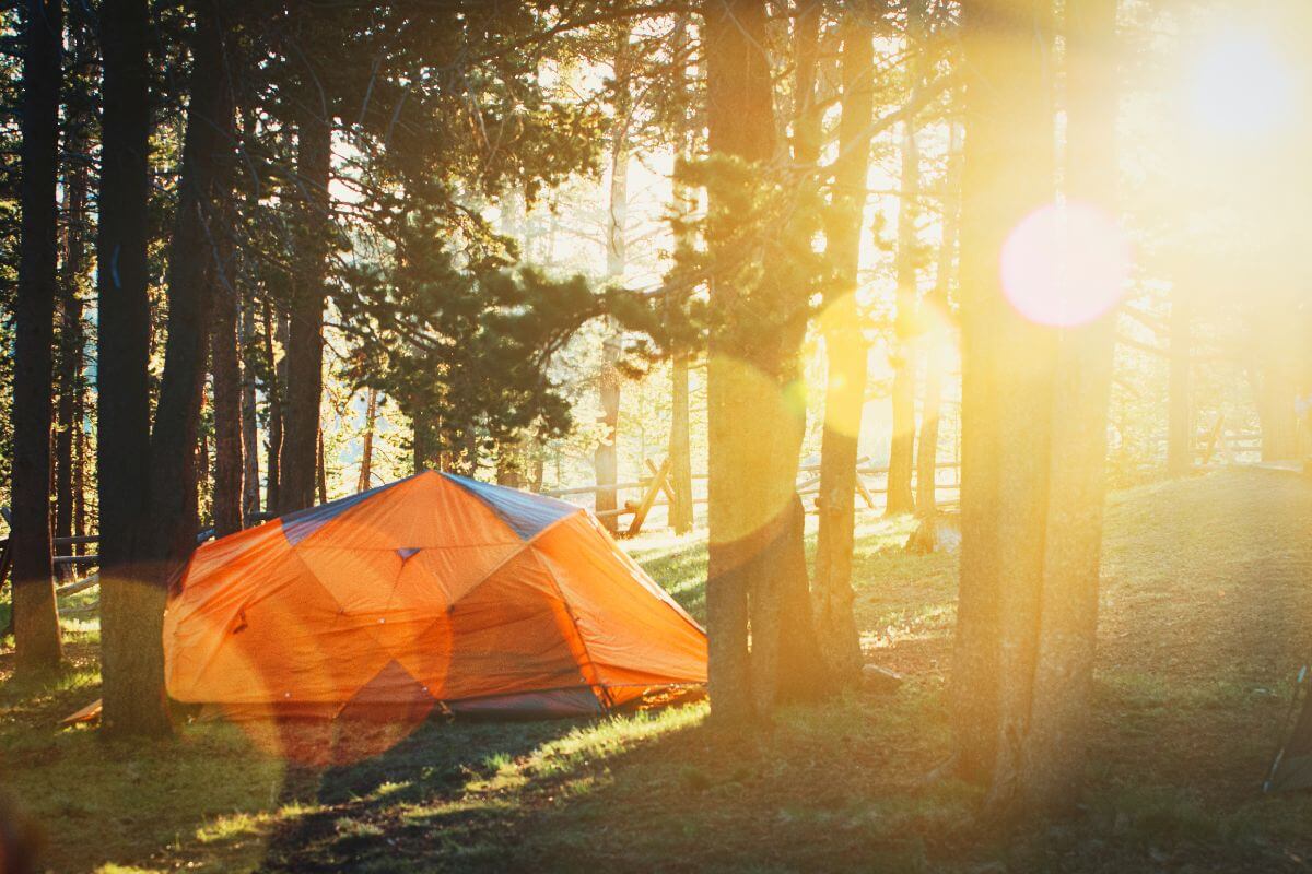 A golden sunrise illuminates a campsite nestled in the woods near Hoodoo Cascade Falls in Montana.