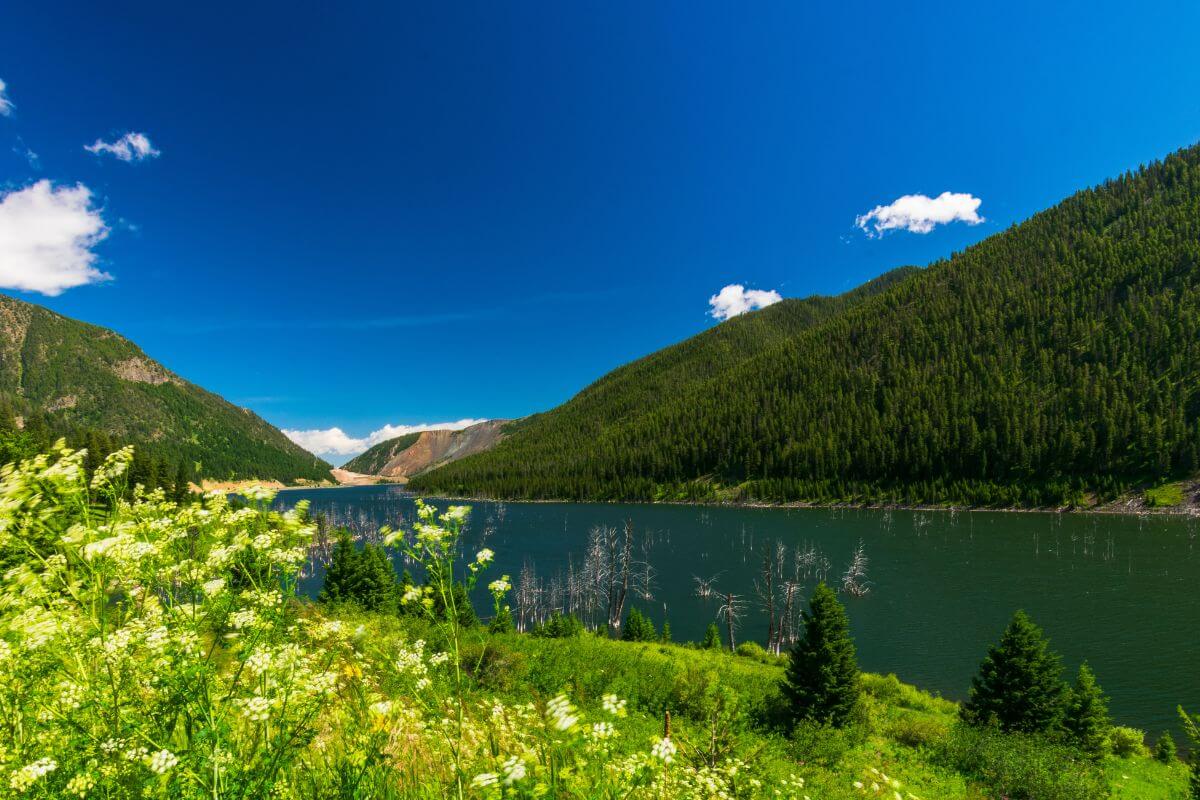 View of Montana Mountains and Lake on a Sunny Day