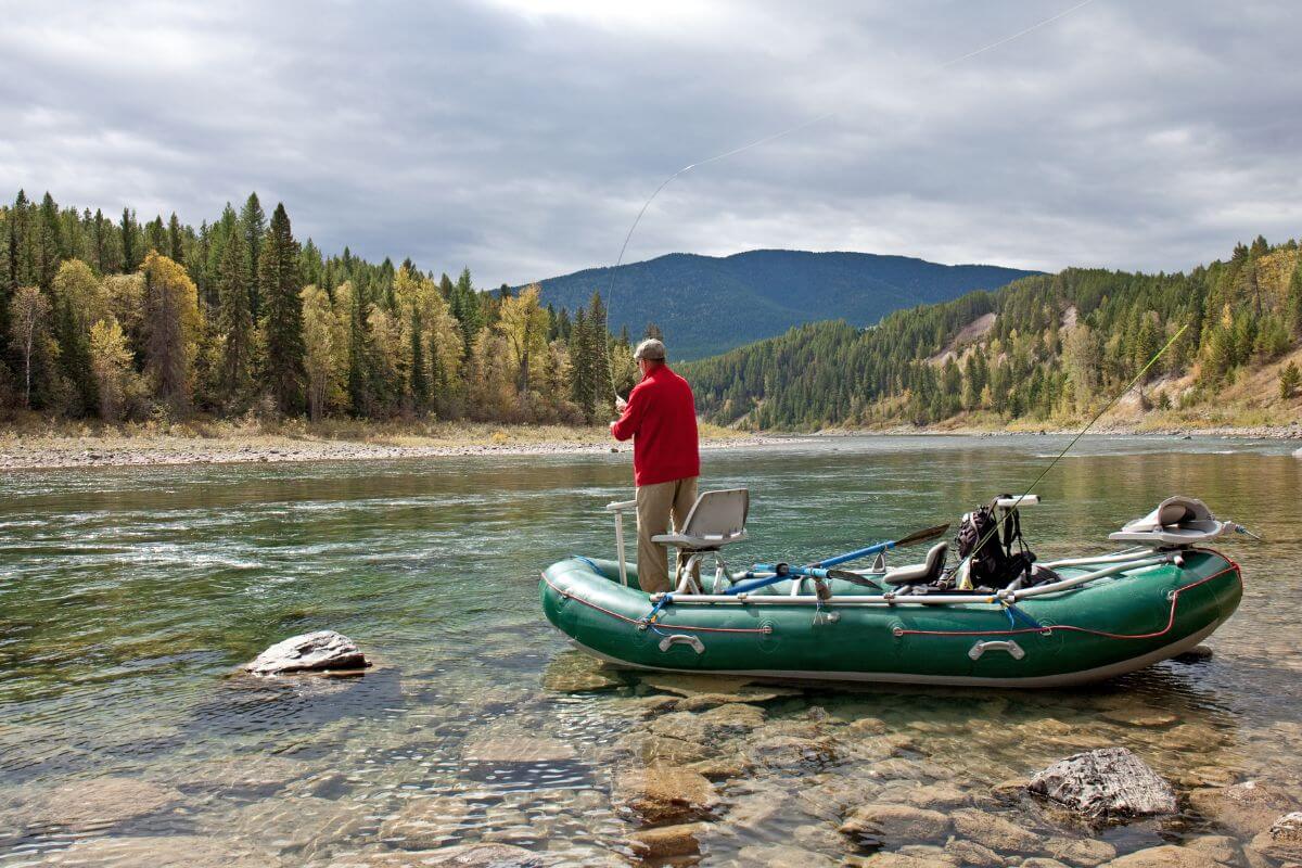 An Angler in Montana Getting Ready to Fly Fish