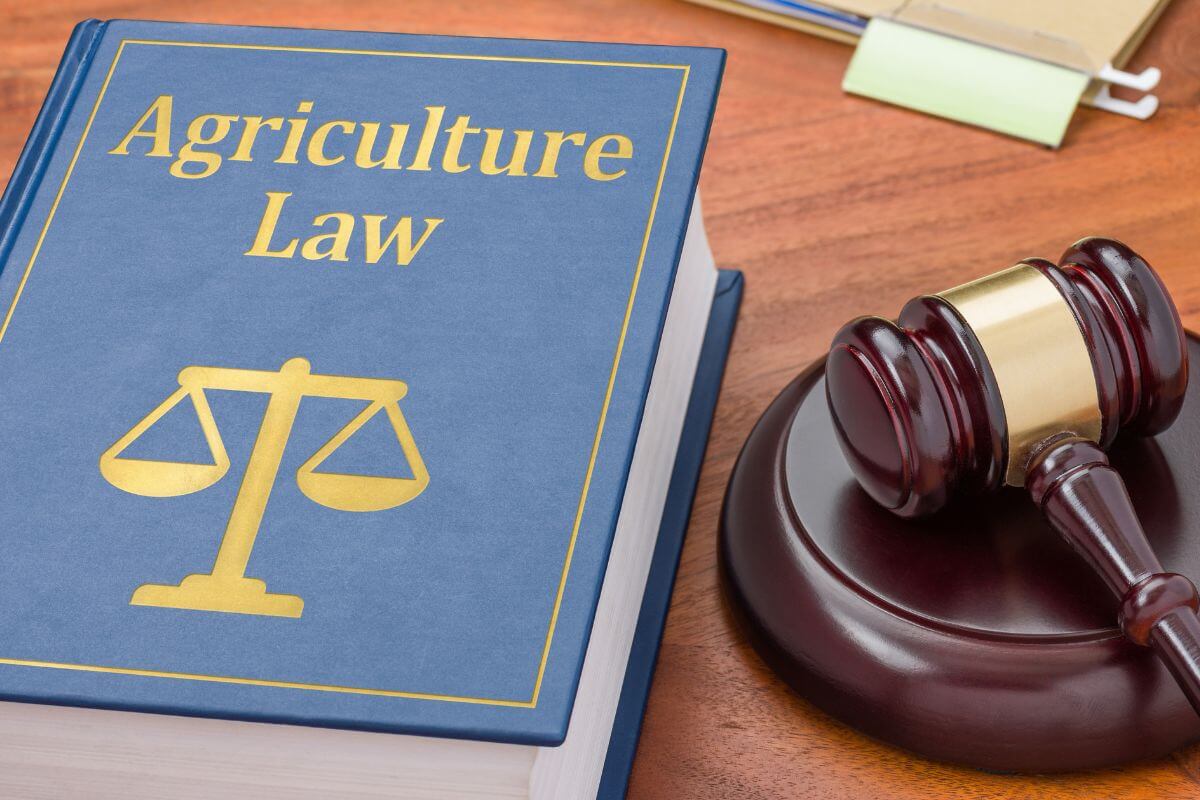 Agriculture Law Book With Gavel and Sounding Block