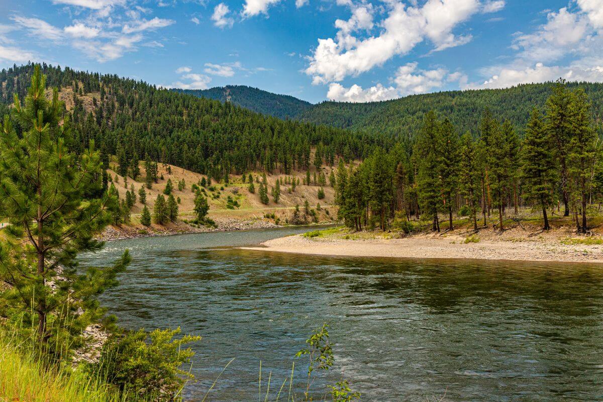 Clark Fork River in Montana