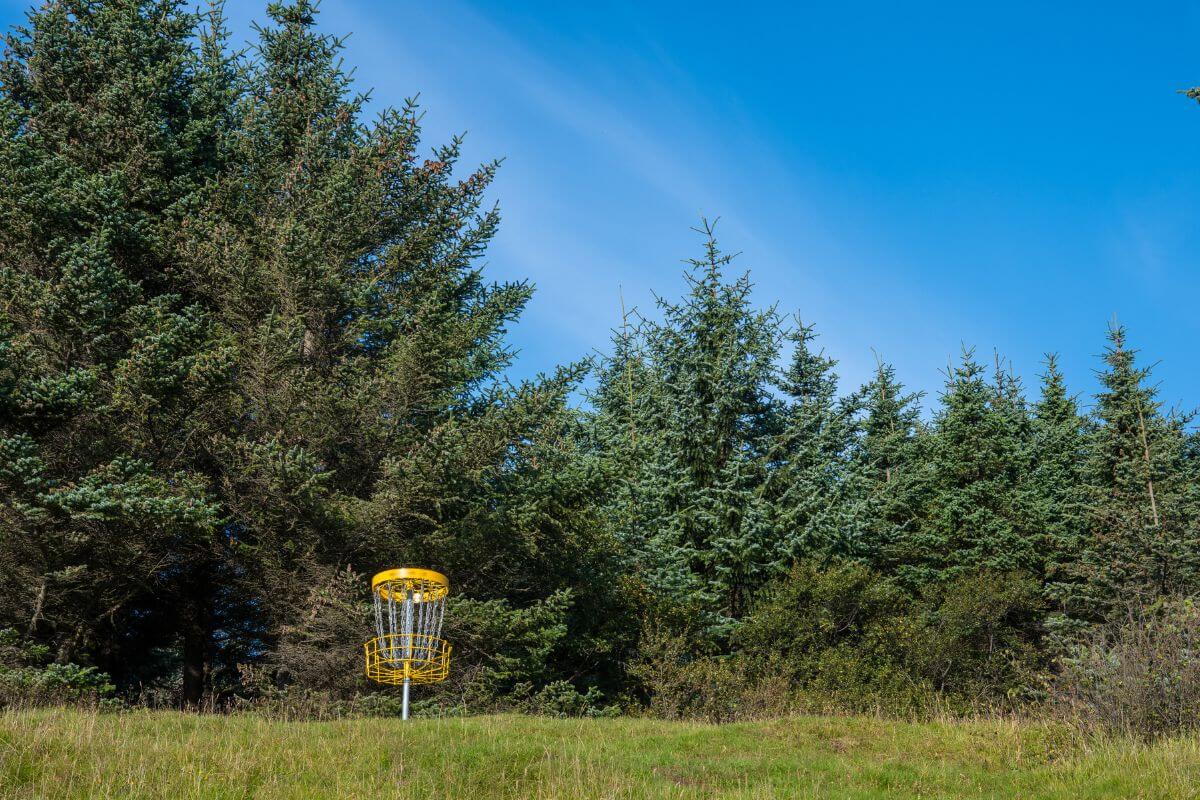 Yellow Disk Golf in a Field of Grass