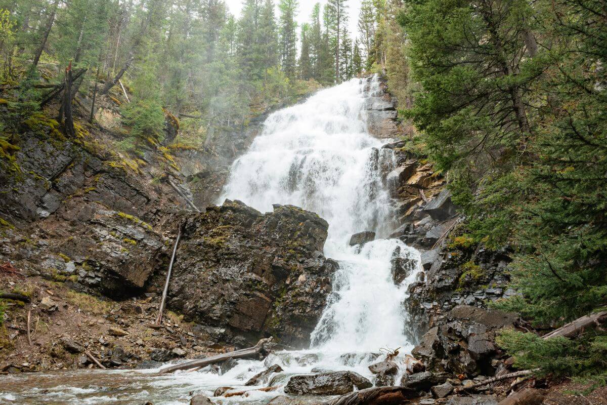 A waterfall nestled in the middle of a wooded area in Montana.