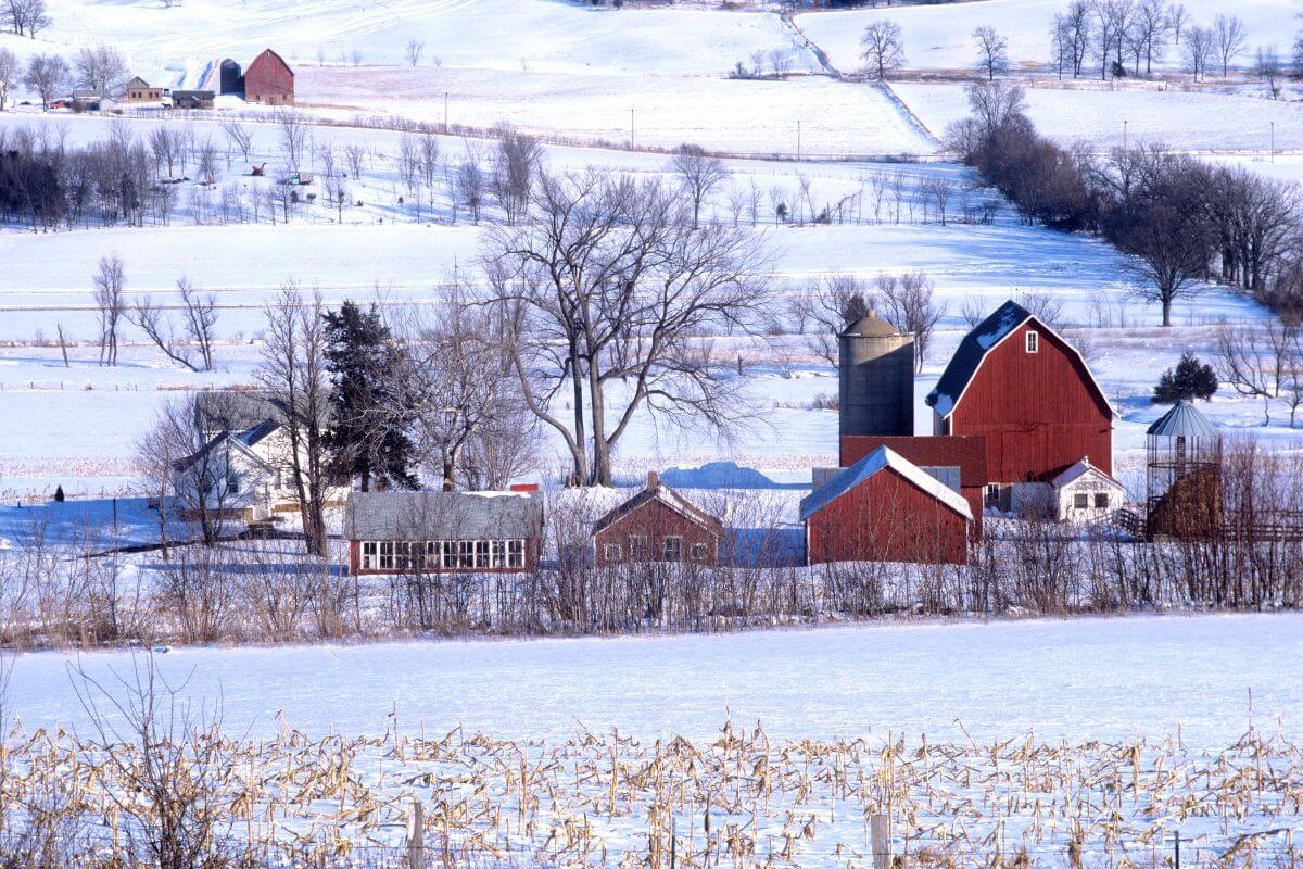 A farm featuring a snow-covered landscape with a red barn and a silo in Wisconsin.