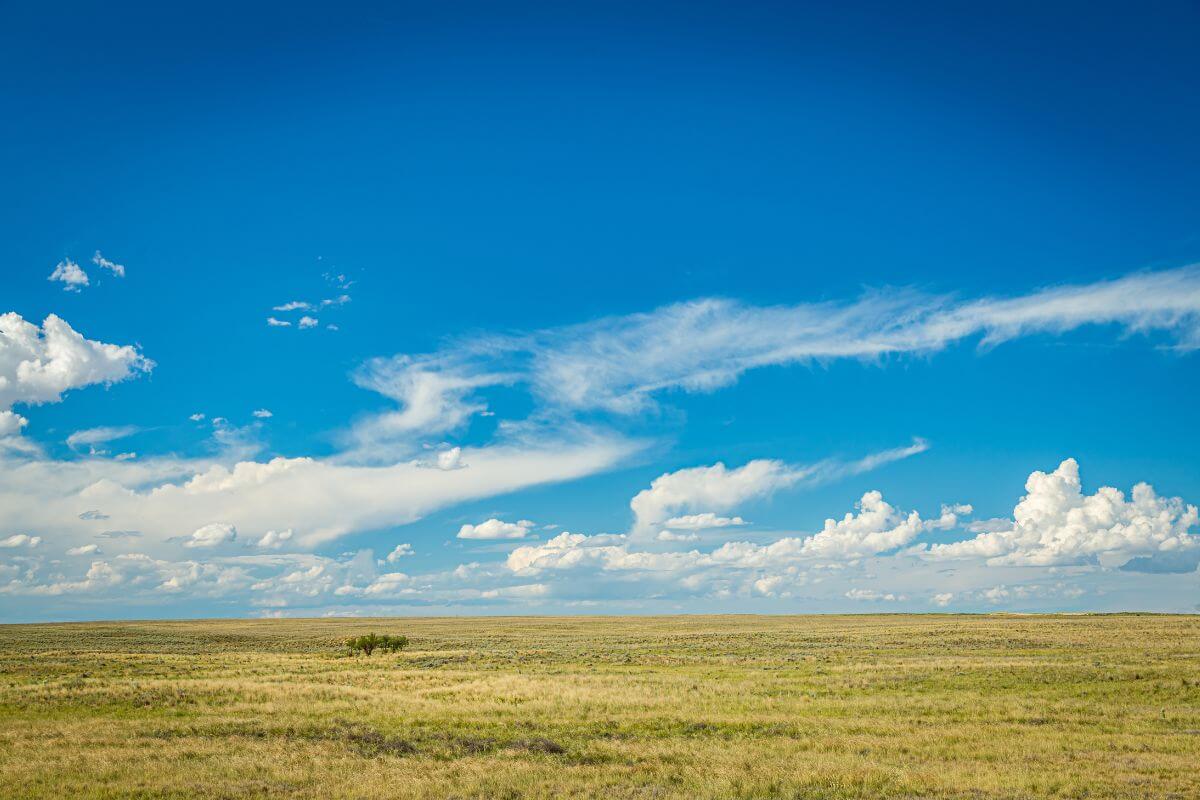 Does Montana Belong to the Great Plains? - Pocket Montana