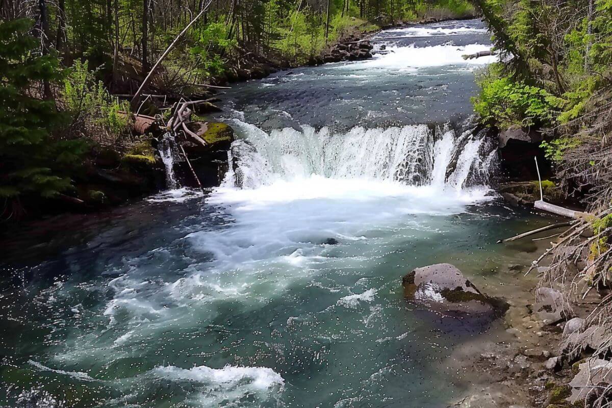 Explore McDonald Falls: Hiking and Activities Guide - Pocket Montana