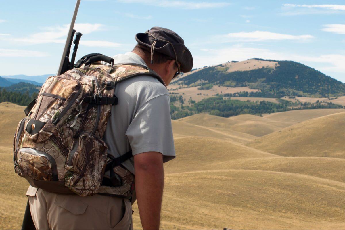 A man wearing a camo backpack and hat looks out over a serene landscape of rolling golden hills and distant green mountains during a DIY Montana hunting trip.