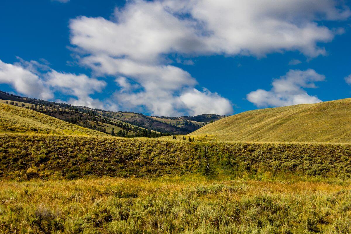 Montana's Hidden Gem: Mariners Haven Campground - Where Adventure Awaits