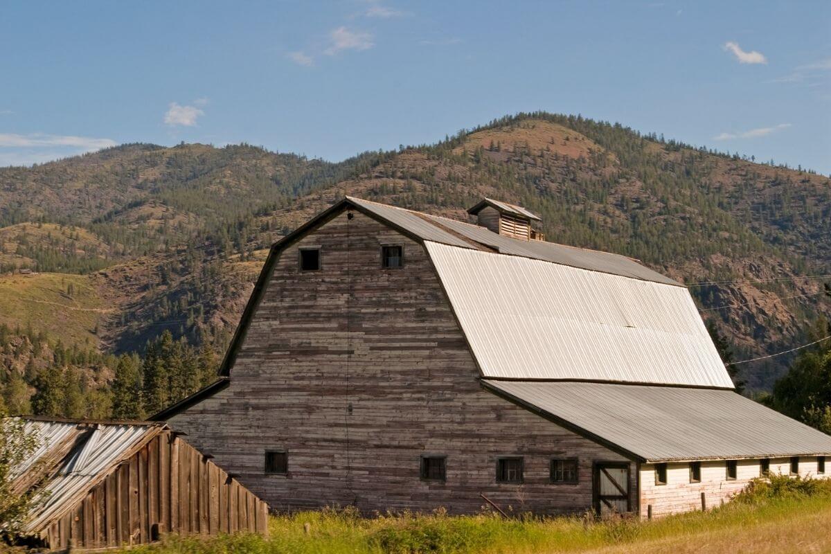 How to Start Homesteading in Montana Complete Guide Pocket Montana