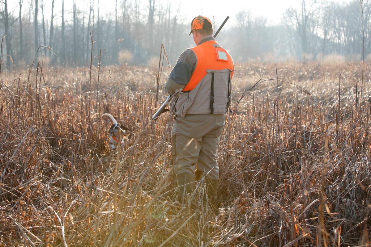 Montana Hunting Seasons Key Dates Every Hunter Should Know 2024