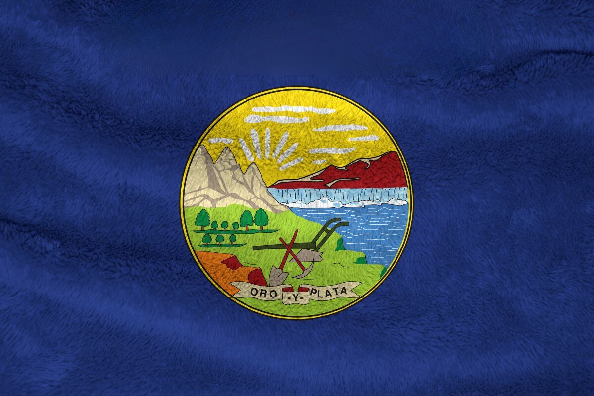 The Official State Flag of Montana