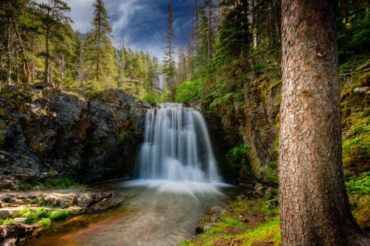 Rockwell Waterfall tumbles into a pool amid a peaceful Montana forest