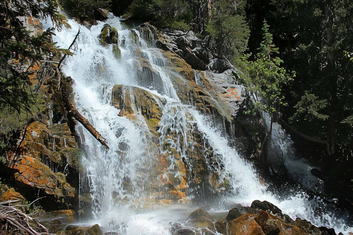 Skalkaho Waterfall flows over mossy rocks in a Montana forest, surrounded by tall trees.